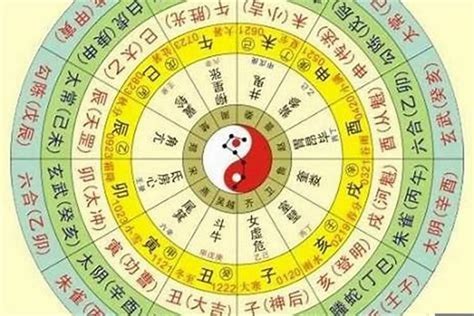 算命大師說今年我們家會出一個狀元|免費八字算命、排盤及命盤解說，分析一生的命運